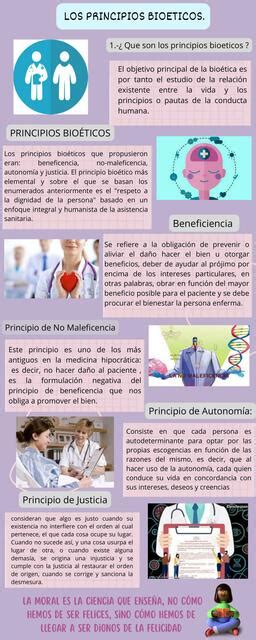 Infograf A Sobre Los Principios Bio Ticos Noelia Sayritupac Cabrera