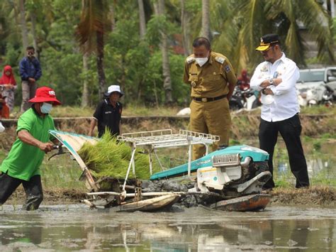 Mentan SYL Dorong Petani Bone Tingkatkan Produksi Padi Dengan IP 400