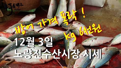 대 방어 시세 투자자들을 위한 전망과 전략