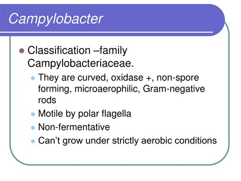 Ppt Campylobacteriaceae Powerpoint Presentation Free Download Id 6593650