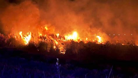 Mar Del Plata Un Incendio De Pastizales Afectó 5 Hectáreas En La Ruta