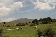 Category Cerro De San Pedro Wikimedia Commons