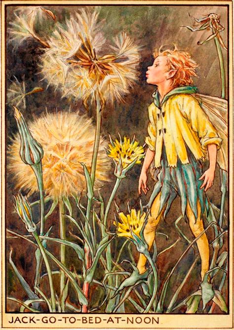 The Jack Go To Bed At Noon Fairy Flower Fairies Fairy Paintings