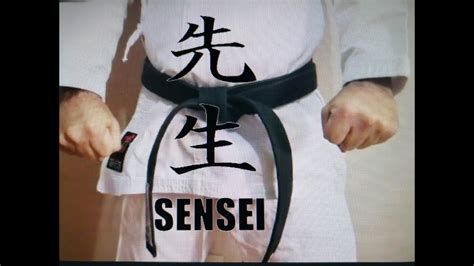 Sensei Parte I Definición Y Caracterización Youtube