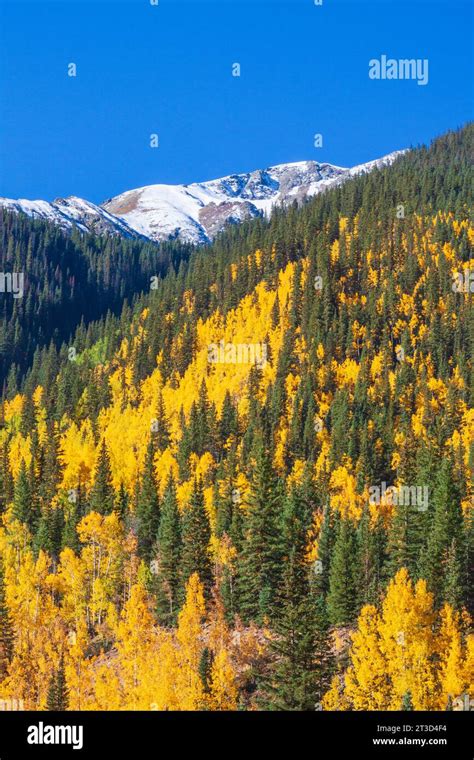 Autumn Color Along The Million Dollar Highway US 550 Portion Of The