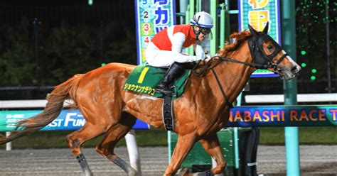 スパーキングサマーチャレンジ地方競馬 川崎競馬予想202474｜ひまわり厨フォロバ100％