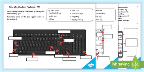 Keys Of A Keyboard Labelling Worksheet Teacher Made