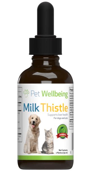 Milk Thistle for Dog Liver Disease - PetWellBeing.com