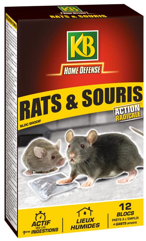 Blocs répulsifs anti rats souris 240 g Gamm vert