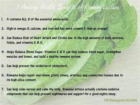 Benefits Of Juicing Romaine Lettuce Best For Those With