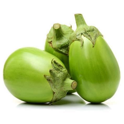 Brinjal Green 10 Seeds — Plan A Plant