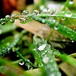 lattes & rainy days: Photography