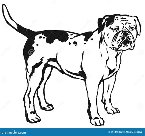 Standing Bulldog Funny Smiling Dog Cartoon Character Contour Vector