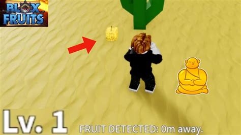 Buddha Blox Fruit 2024 Hình Ảnh Cách Lấy Code Buddha Combo