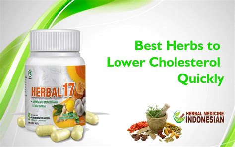 Best Herbs To Lower Cholesterol Quickly Pt Ben Sehat Sejahtera