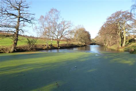 Pool Near Upper Bittell Reservoir Philip Halling Cc By Sa