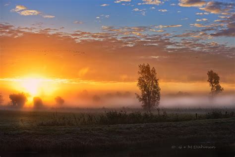 Nebellandschaft Naturfotografie G M Dahmen Fotos Bilder