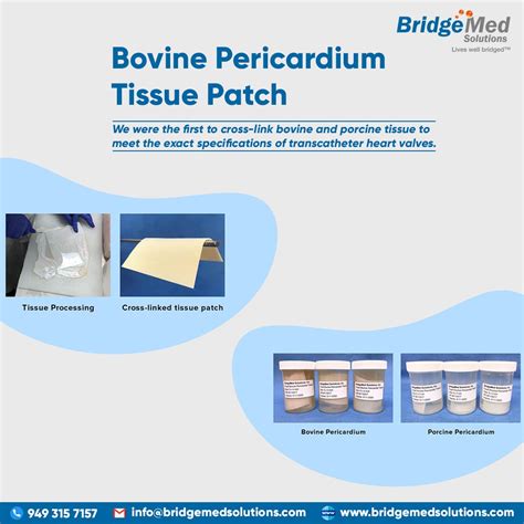 Bovine Pericardium Tissue Patch Bridgemed Solutions Inc Medium