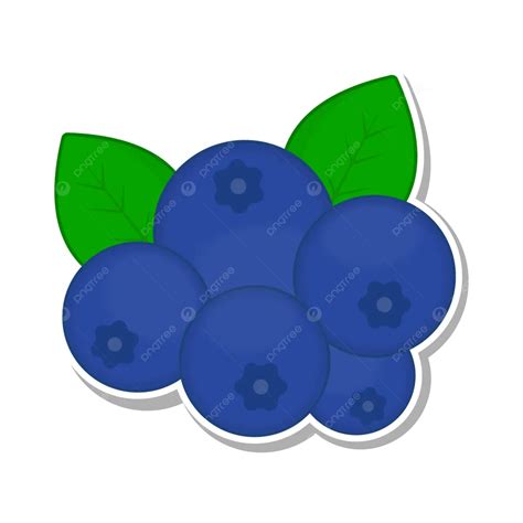 Blueberry Sticker Vector Illustration Blueberry Blueberry Fruit