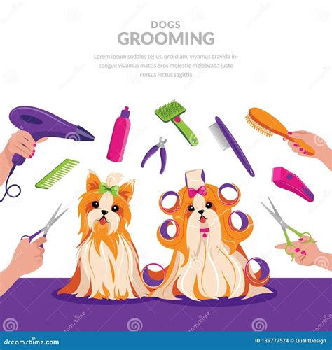 Dog Grooming Stock Photography 26967830