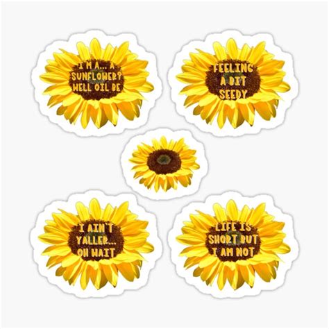 Cute Sunflower Pun Sticker Collection Sticker For Sale By