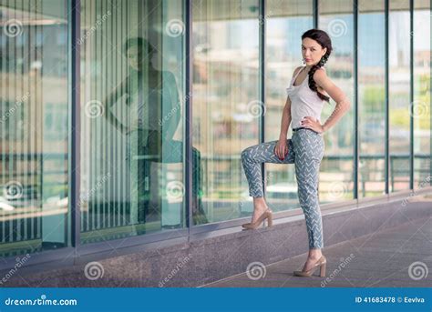 Portrait Of A Brunette Girl Stock Photo Image Of Charming Cute 41683478