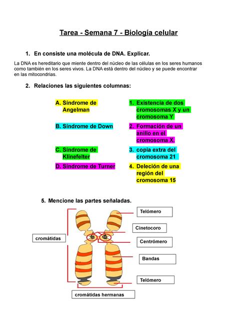 Actividad Tarea Semana Tarea Semana Biolog A Celular