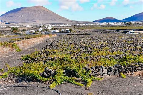 Lanzarote Tour Dei Vulcani Di Timanfaya E Delle Grotte Con Pranzo