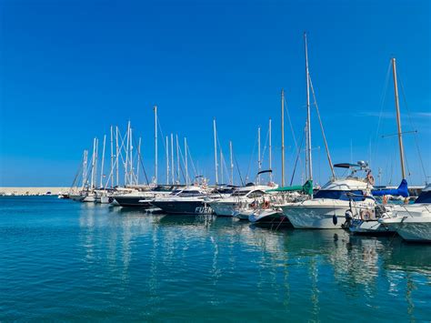 Boats In Marina Free Stock Photo Public Domain Pictures