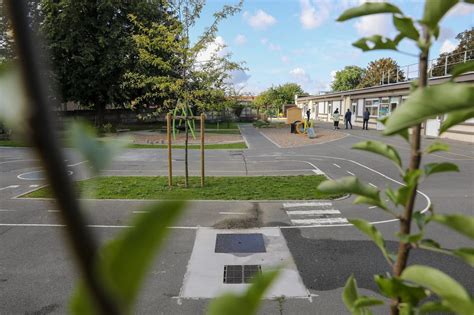 Rentrée des classes la végétalisation des cours décole saccélère en