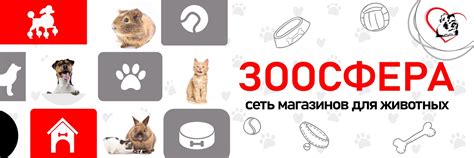 Зоосфера | Пес в сапогах | Зоомагазин | Пенза | Привет, Пенза! 2025 ...