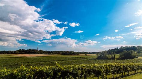 Sunset In The Vineyards Of Friuli Venezia Giulia Stock Image Image Of