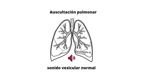 Ruidos Respiratorios Murmullo Vesicular Youtube