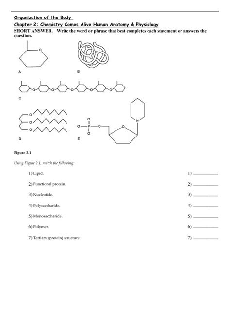 Organization Of The Body Chapter 2 Chemistry Comes Alive Human