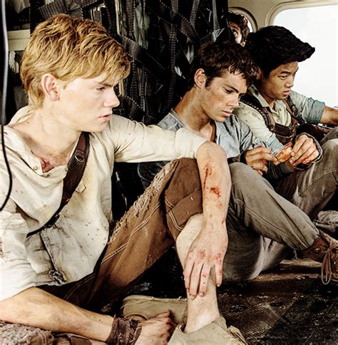 Newt Tommy Minho Newt The Maze Runner Photo 37723250 Fanpop