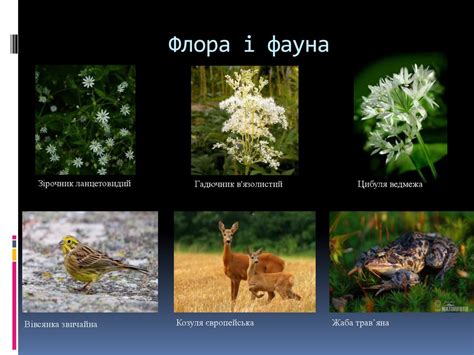 Природно-заповідний фонд України - online presentation