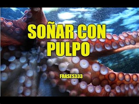 Significado De Los Sue Os Sobre Pulpo So Ar Con Pulpo Youtube