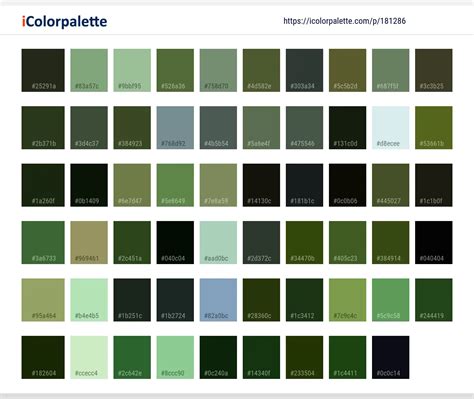 Color Palette Ideas from Nature Green Forest Image | iColorpalette