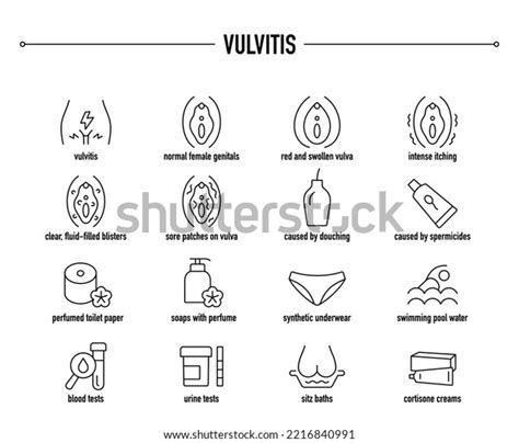 Vulvitis Symptoms Causes Treatment Icon Set 库存矢量图（免版税）2216840991 | Shutterstock