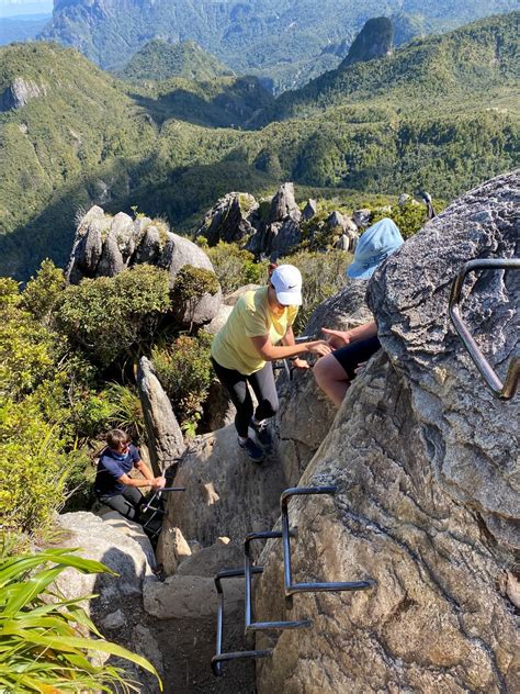 Step By Step Guide To The Kauaeranga Kauri Trail The Pinnacles