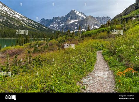 Spring Mountain Trail A Narrow Mountain Trail Winding Towards