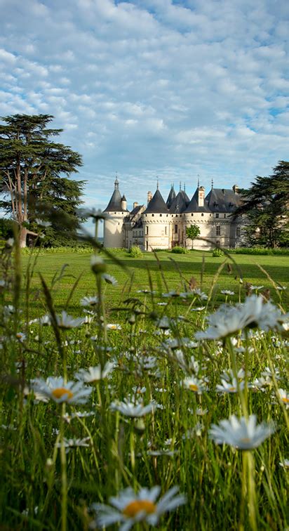 Le jardin résilient s invente à Chaumont sur Loire Garden Fab