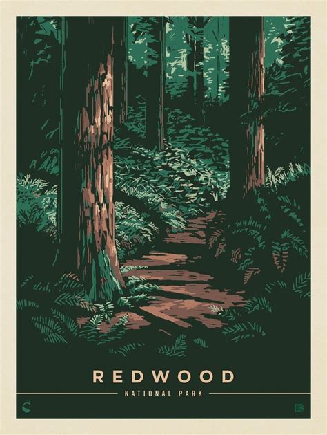 Redwood National And State Parks Splendor Anderson Design Group