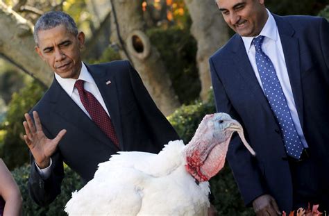 Why does the president pardon a turkey? The history behind the Thanksgiving tradition