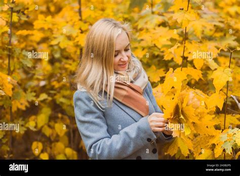 A Woman Holds Maple Yellow Leaves In Her Hands In A Park Against A