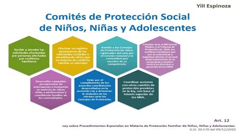 Comités Protección Social De Niños Niñas Y Adolescentes Yill