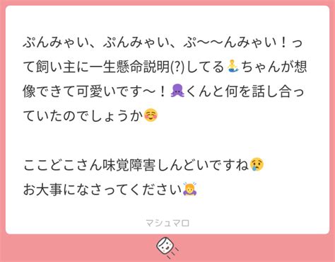 ぷんみゃい、ぷんみゃい、ぷ〜〜んみゃい！って飼い主に一生懸命説明 してる🧜‍♂️ちゃんが想像できて可愛いです〜！🐙くんと何を話し合っていた