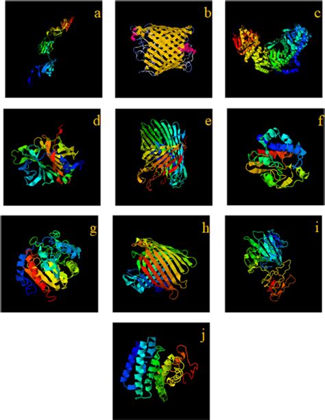 Models Of Third Structure Of 10 Hypothetical Proteins Predicted By The