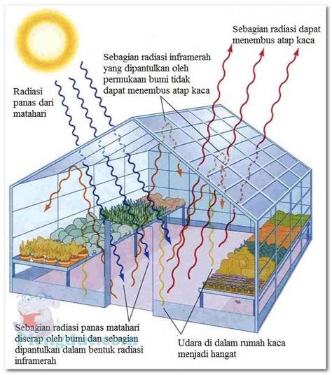 Jenis Jenis Gas Rumah Kaca - 48+ Koleksi Gambar