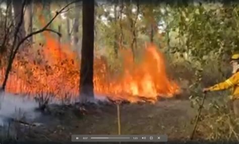 Son 150 brigadistas que combaten 4 incendios en Uruapan piden víveres